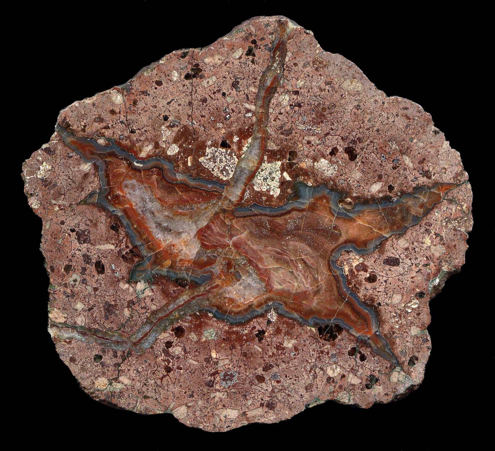 123x115 mm